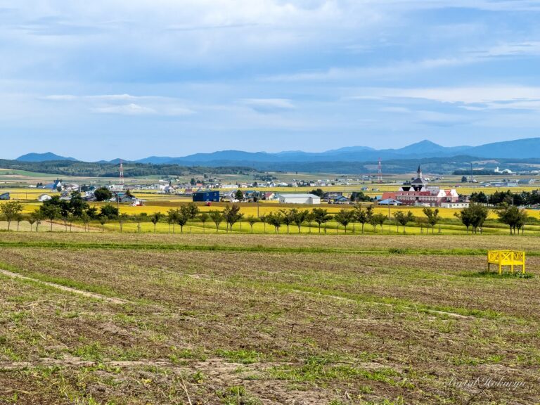 哀愁と静寂さが混じり合うひまわりの里！