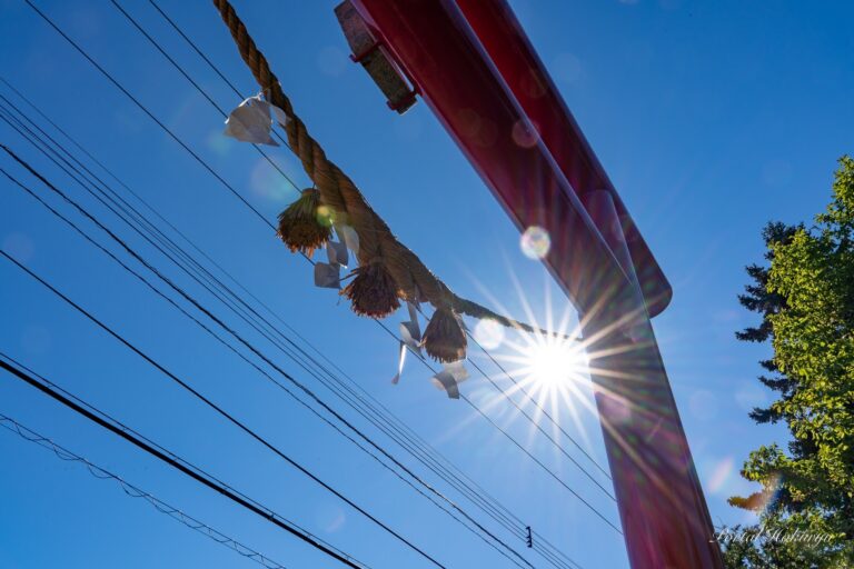巨大な光パワー「太陽光」