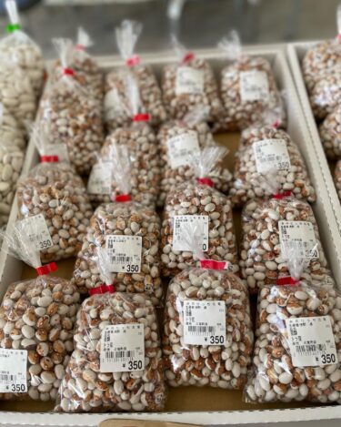 Đậu mới đã về. Bạn có muốn làm đậu luộc không? Chúng tôi đang chờ đợi chuyến thăm của bạn [Minoricchi Hokuryu]