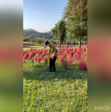 先週、由仁ガーデンにコキアを見にいってきました。そして、お決まりのおでかけレジェンド。外でするけん玉の気持ち良さ 🤩 最高ですね【北竜けん玉クラブ】