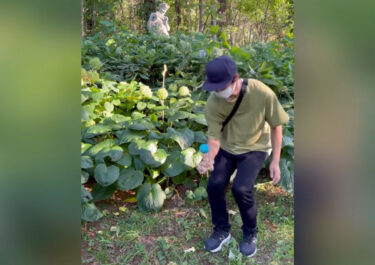 明日（10/11）は活動日です🔥 今回は先日の#由仁ガーデン の紫陽花エリアにいた像とコラボしました【北竜けん玉クラブ】