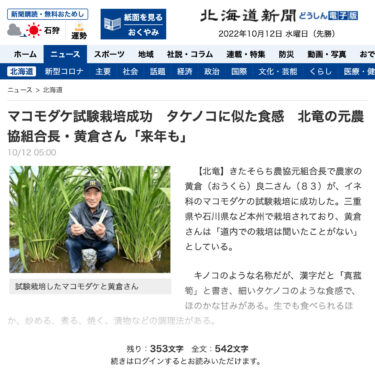 Makomodake-nin sınaq becərilməsi müvəffəqiyyətlə başa çatdı, quruluşu bambuk tumurcuqlarına bənzəyir. Hokuryu Kənd Təsərrüfatı Kooperativi Birliyinin keçmiş rəhbəri Kikura, "Gələn il yenə edəcəyik" dedi. [Hokkaydo Shimbun Press, Doushin Online Edition]