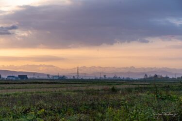 異空間へと誘う幻想的な風景