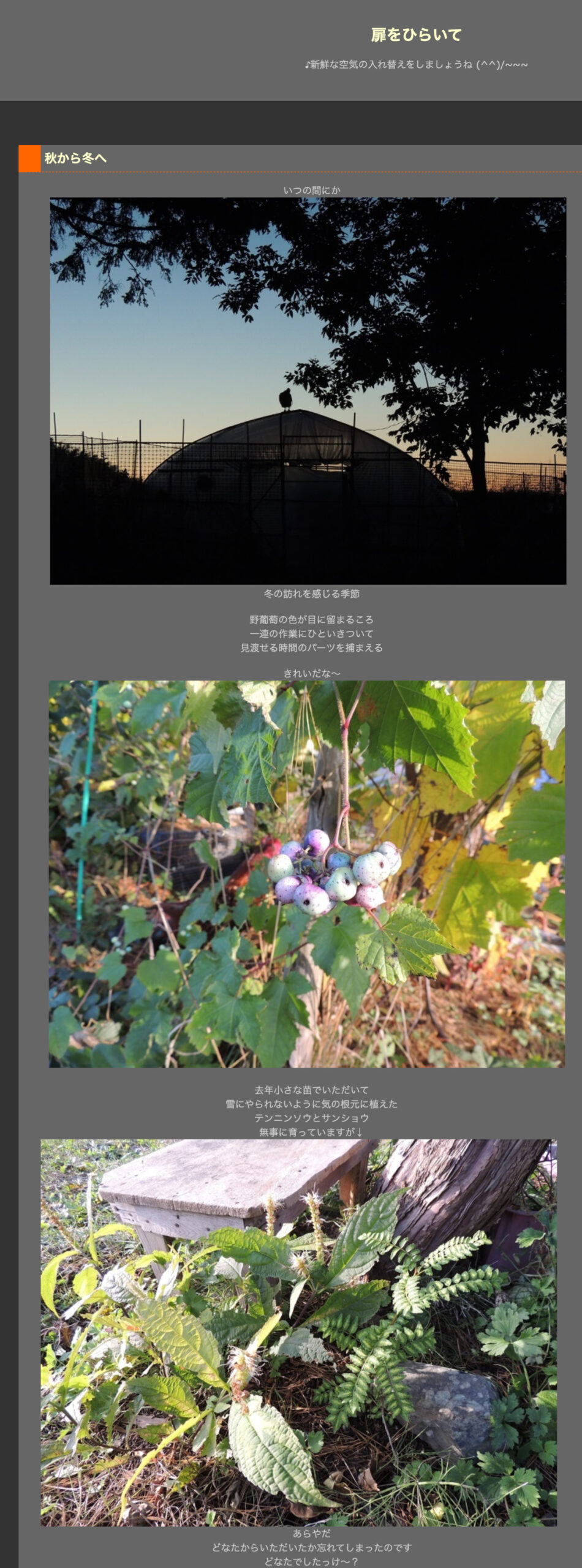 จากฤดูใบไม้ร่วงสู่ฤดูหนาว [เปิดประตู]