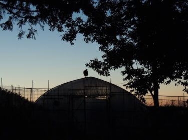 Sonbahardan Kışa: Daha ne olduğunu anlamadan kışın geldiğini hissedeceksiniz [Kapıyı Aç, Keiko Ozaki]