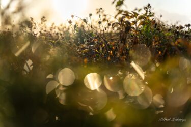 Həyati enerji anı!