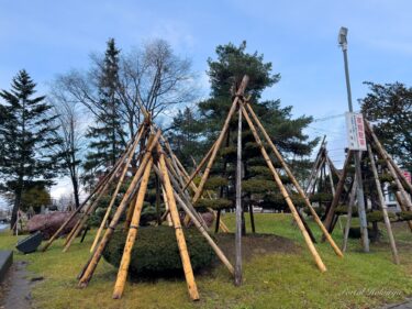 सर्दियों के लिए हमारे कीमती बगीचे के पेड़ों की रक्षा करने के लिए आभार!