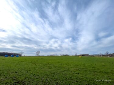 冬を待つひまわりの里