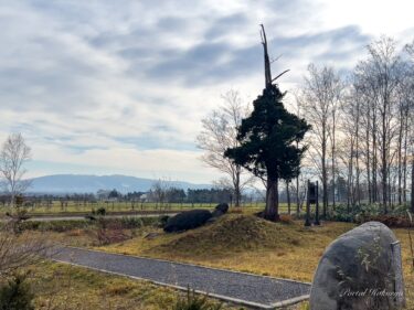 美・愛・夢の光がきらめく「イチイの森」