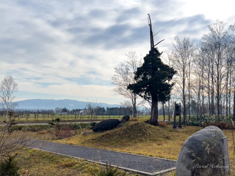 美・愛・夢の光がきらめく「イチイの森」