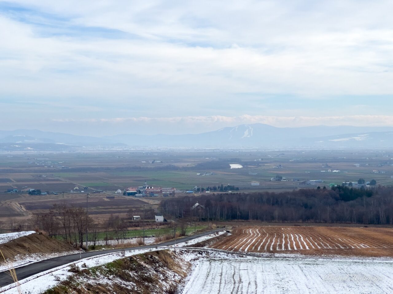 白い雪のベールに包まれた眺望の丘