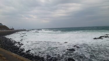 北竜町長 佐野豊 活動報告・11月14日（月）町長部局課長等ミーティング、職員採用二次試験（消防職）、ひまわり観光協会長と懇談、和保育園保護者要望懇談、消防職員採用試験合否協議、公共施設整備計画協議、桜岡町内会故山本勝利氏通夜参列