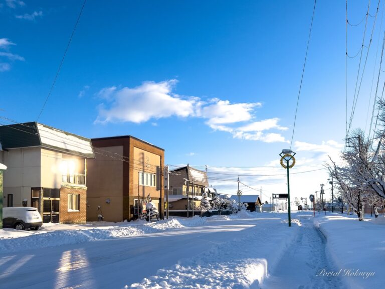 見事に除雪整備されていく冬の町並みに感謝！