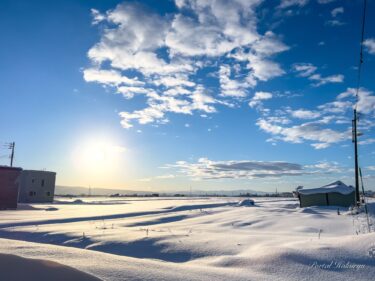 凍りついた心を溶かす温かな冬の太陽