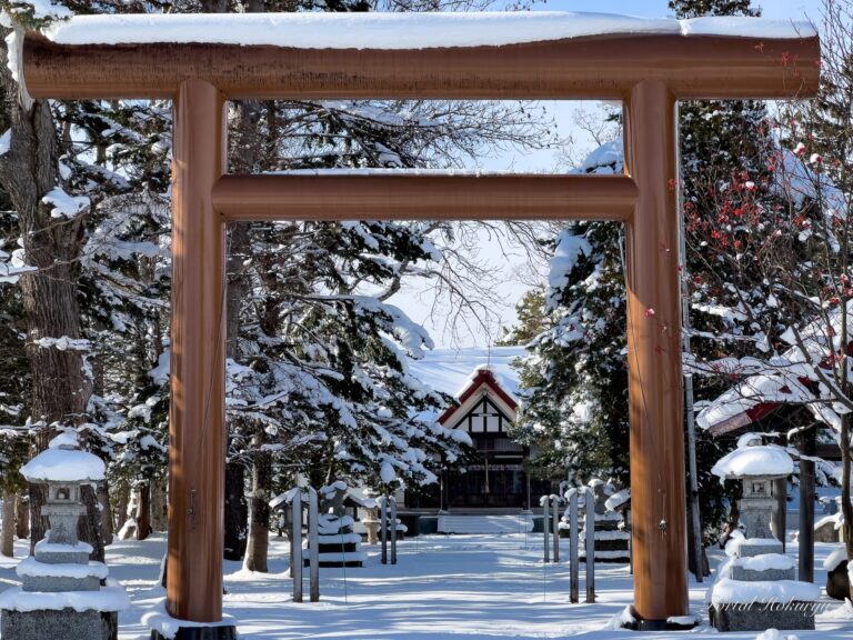 雪に包まれた鎮守の杜「真竜神社」
