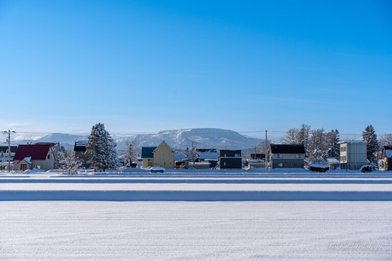 恵岱岳と町並みが描く優美な風景