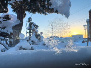 窓辺に輝く美しい氷の花模様