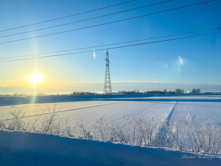 北竜橋から広がる風景