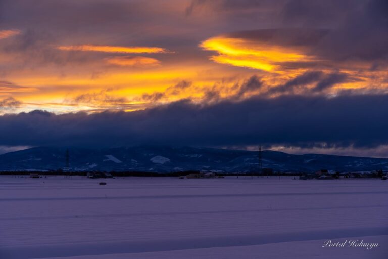 暗闇を照らすオレンジの偉大なる光