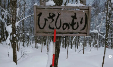 明けましておめでとうございます。１月６日久しぶりに少し晴れ間があったので、「永の森」へ行って見ました。積雪１１０cm 位でした【永の森活動組織（加藤宰 代表）】