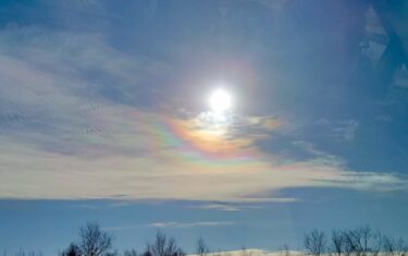 北竜町長 佐野豊 活動報告・1月18日（水）北海道水源林造林協議会役員会（札幌市）