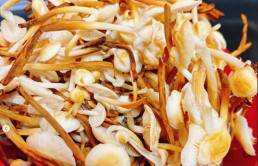 🌻 2月6日（月）本日の日替わりランチ：温かいきのこお蕎麦 ♪ でした 😊【お食事処向日葵】