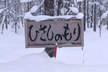 毎日、よく降りますね。２mのポールもあと２０cmで埋まってしまいます【永の森活動組織（加藤宰 代表）】