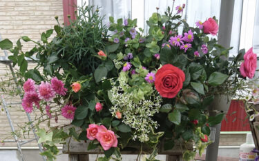 北竜町長 佐野豊 活動報告・3月2日（木）北海道新聞道央圏支社長と懇談、議会定例会一般質問答弁協議