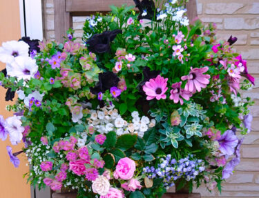 北竜町長 佐野豊 活動報告・3月6日（月）町長部局課長等ミーティング、第１回北竜町議会定例会準備