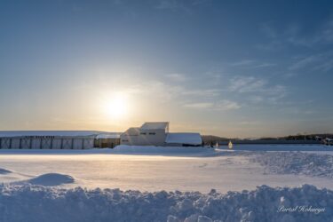 春の気配を感じる季節