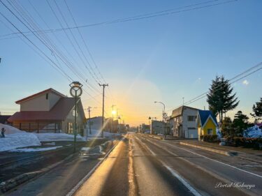 Lampu jalan bunga matahari dan matahari terbenam