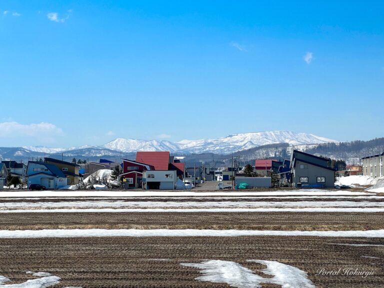 田畑を見守る恵岱岳