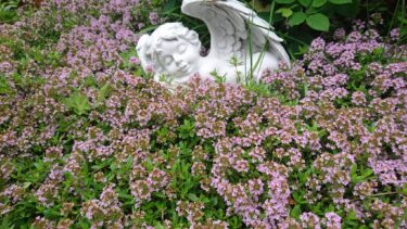 北竜町長 佐野豊 活動報告・3月23日（木）ひまわりの里渋滞対策会議、北竜町総合教育会議、離任校長・教頭先生送別会