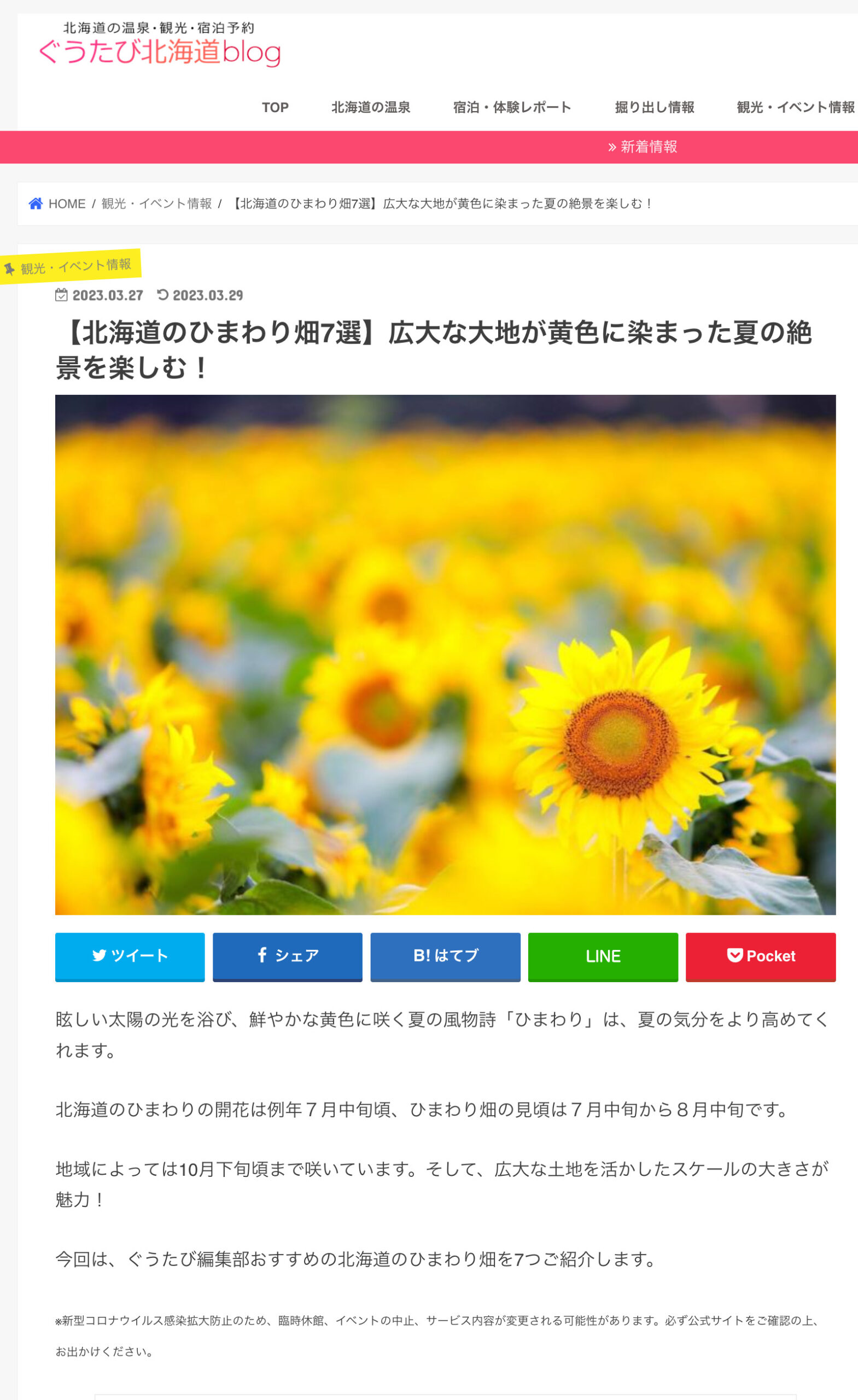 【北海道のひまわり畑7選】広大な大地が黄色に染まった夏の絶景を楽しむ！の記事にひまわりの里がトップ掲載！【ぐうたび北海道blog】