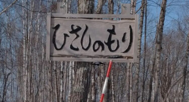 Salju sudah sangat mencair, dari ingatan tiang, dan masih ada 40 cm salju yang tersisa.