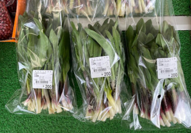 行者ニンニクが入りました。ジンギスカンのおともに！いかがでしょうか！大玉トマトの苗、白菜の苗も入りました【みのりっち北竜】