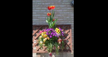 北竜町長 佐野豊 活動報告・4月26日（水）農村後継者対策推進協議会総会、北竜町農業振興協議会、中・北空知廃棄物処理広域連合会事務局長・次長と懇談