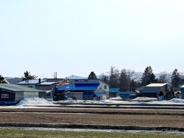 風にそよぐ鯉のぼり