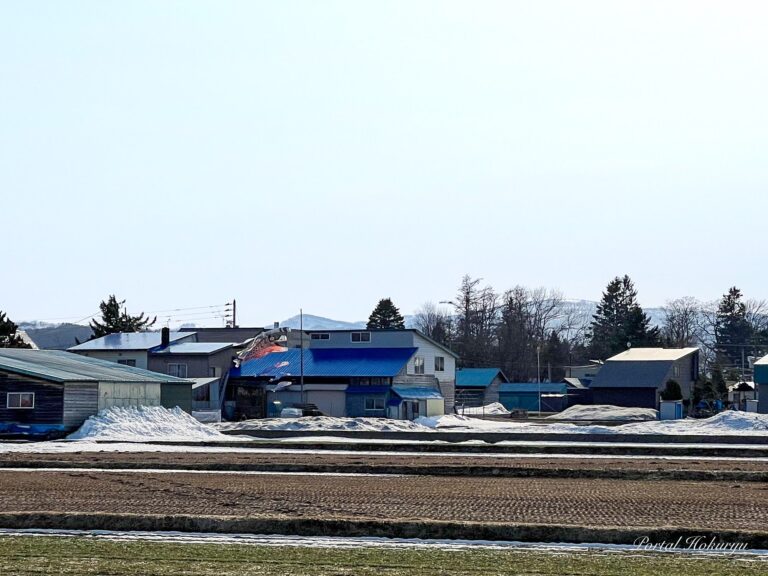 風にそよぐ鯉のぼり