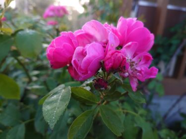 Báo cáo hoạt động của Thị trưởng thị trấn Hokuryu Yutaka Sano - Ngày 6 tháng 4 (Thứ năm) Cuộc họp định kỳ của trưởng bộ phận tháng 4, Lời chào đến của Giám đốc Văn phòng Sông Sakuken Takigawa, Lời chào đến của Giám đốc Cảnh sát Fukagawa, Lời chào đến của Giám đốc Văn phòng Chi nhánh Numata