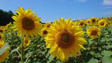北竜町長 佐野豊 活動報告・4月5日（水）北海道土地改良事業団体連合会第１回理事会(札幌市)