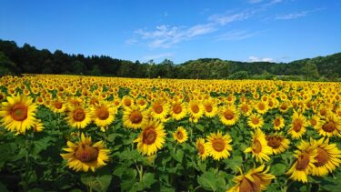 北竜町長 佐野豊 活動報告・4月25日(火)北海道農業会議常設審議委員会(札幌市) 16:00 中央バス観光部訪問