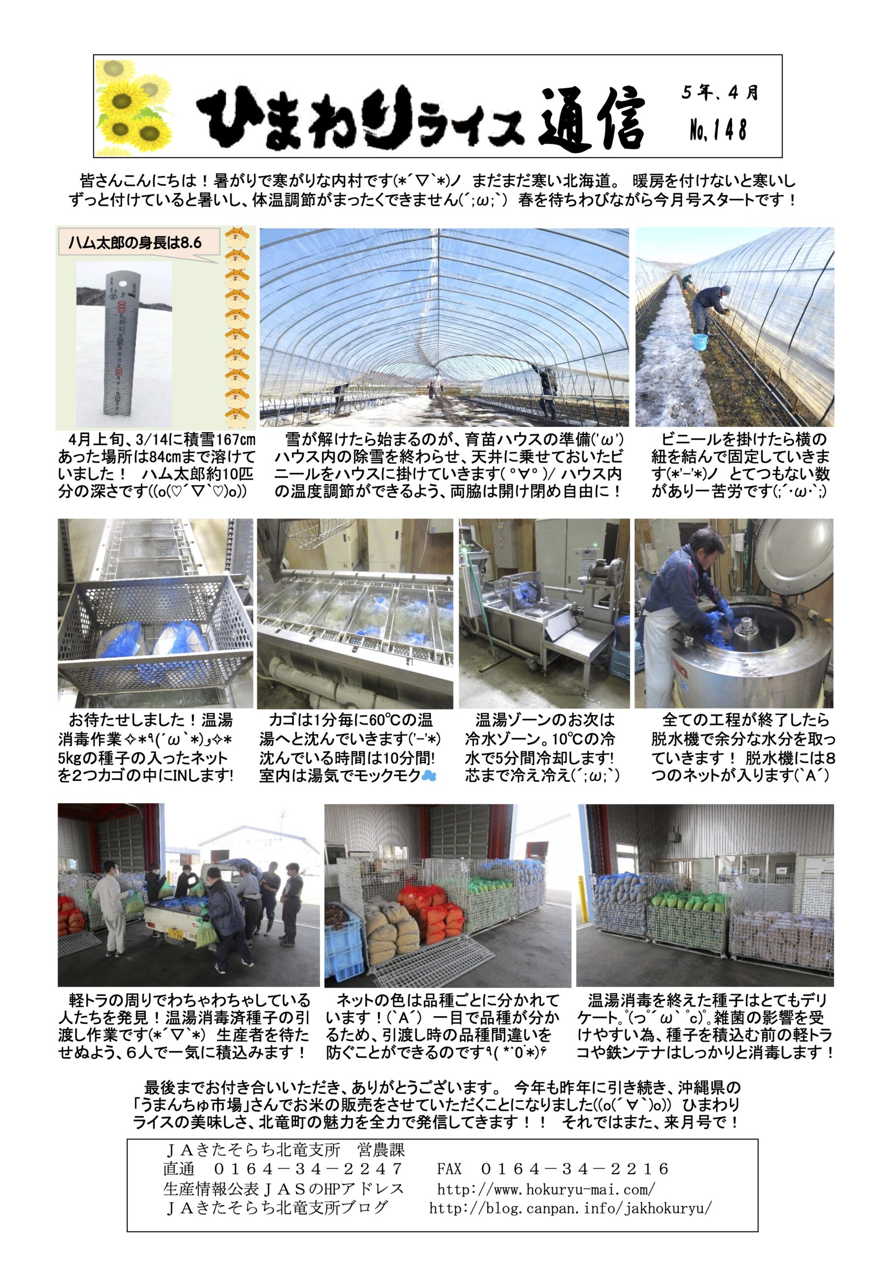 ひまわりライス通信 No.147・令和5年4月