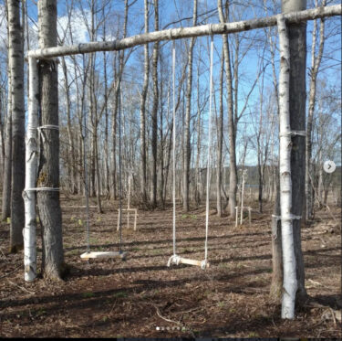 今年も桜の苗木を植えてみました。ブランコのそばにはソメイヨシノ２本です【永の森活動組織（加藤宰 代表）】