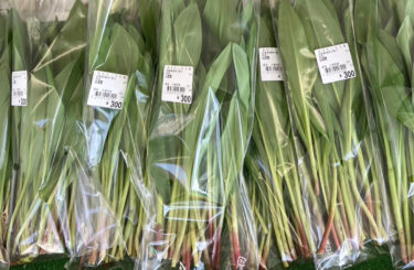 ゴールデンウィークも最終日。アフパラもまだ少しですが入りました。ほうれん草、行者ニンニク、長ネギと入りました。山わさびもあります【みのりっち北竜】