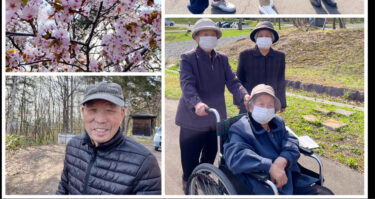 5月3日：B棟の皆さんでお花見行きました！😊 桜山と丸山公園に行き、桜とカタクリの花を見に行きました！！✨ 🌸【グループホーム碧水】
