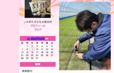 水稲育苗巡回 (*｀▽´*) 生育状況はおおむね良好 (*‘ω‘ *) 来週から再来週にかけて 田植えが始まる予定です！【ＪＡきたそらち北竜支所】