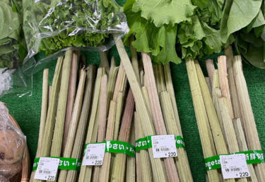 今年初、ふき、うど、わらびと山菜が入りました ♪ 佐賀県産の 新玉ねぎも入りました ♪ 苗 🌱🌱🌱 もまだまだ有ります【みのりっち北竜】