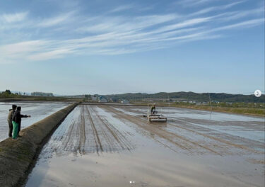 5.14 ▶︎▶︎ほのか直播に初挑戦 😎 ‼︎【農事組合法人ほのか】