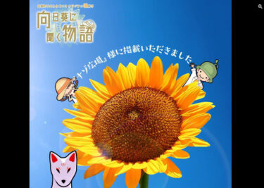 絶景のひまわり畑での #謎解き 大冒険は、特別な想い出になること間違いなし👟 団体は勿論、おひとりでマイペースのご参加も大歓迎 ☺️【北竜ボードゲーム会】